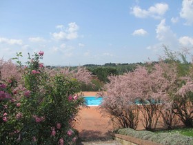 Locanda Le Boscarecce