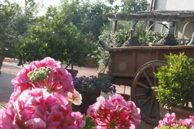 Locanda Le Boscarecce