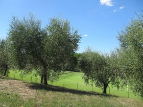 Locanda Le Boscarecce