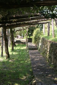 Borgo Mocale