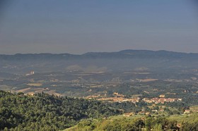 Borgo Mocale