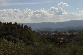 Organic Farmholiday In The Middle Of Olive Grove 2