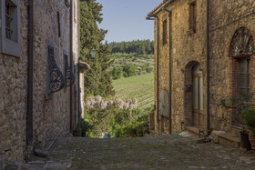 Castello Di Fonterutoli