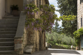 Castello Di Fonterutoli