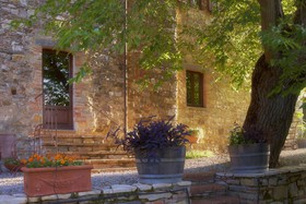 Fattoria Tregole