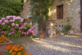 Fattoria Tregole