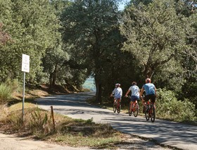 Bossi Di Sopra (Castello Di Bossi)
