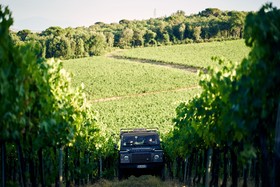 Bossi Di Sopra (Castello Di Bossi)