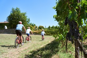 Bossi Di Sopra (Castello Di Bossi)