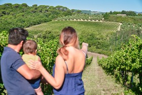 Bossi Di Sopra (Castello Di Bossi)