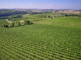 Bossi Di Sopra (Castello Di Bossi)