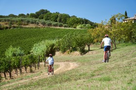 Bossi Di Sopra (Castello Di Bossi)