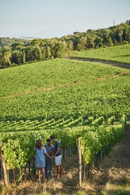 Bossi Di Sopra (Castello Di Bossi)