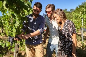 Bossi Di Sopra (Castello Di Bossi)