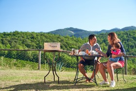 Bossi Di Sopra (Castello Di Bossi)