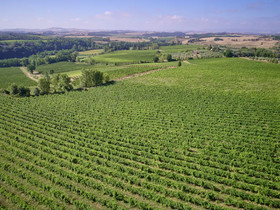 Casa Tolomei Bossi Di Sopra
