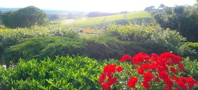 Villa Curina Chianti Resort