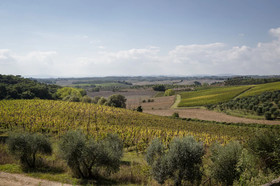 Villa Curina Chianti Resort