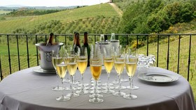 Villa Curina Chianti Resort