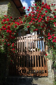 Villa Il Nido