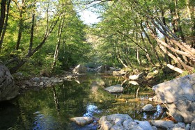 Podere Piandicava