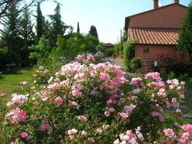 Agriturismo Sant'Alberto
