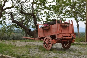 Agriturismo La Posta Reale