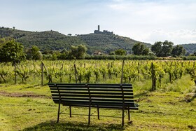 Agriturismo La Pievuccia