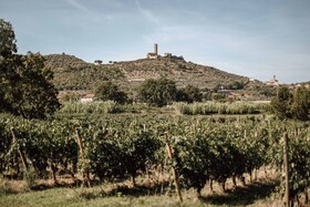 Agriturismo La Pievuccia