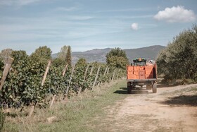 Agriturismo La Pievuccia