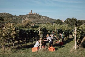 Agriturismo La Pievuccia