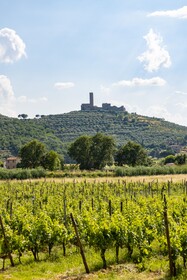 Agriturismo La Pievuccia