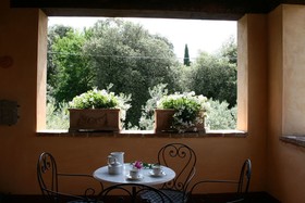 Collina Dei Fiori