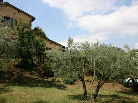 Collina Dei Fiori