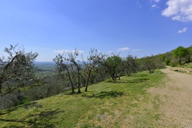 Villa Noceta