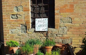 Bassetto Guesthouse