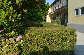 Fattoria il Bacio
