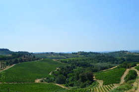 Fattoria il Bacio