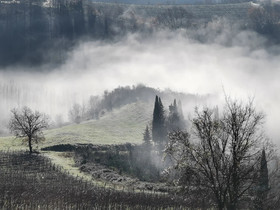 Fattoria il Bacio
