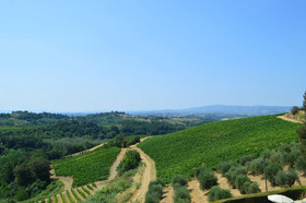 Fattoria il Bacio