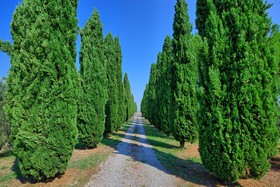 Holiday Home Casale Giulio