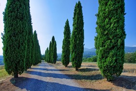 Holiday Home Casale Giulio