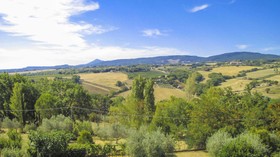 Casa Vacanze Poggio Delle Rose