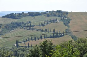 Miralaghi