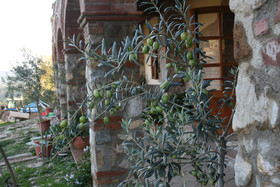 Agriturismo La Chiusa