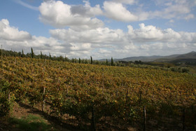 Agriturismo La Chiusa