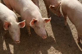 Agriturismo La Chiusa