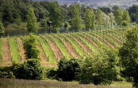 I Grandi Di Toscana
