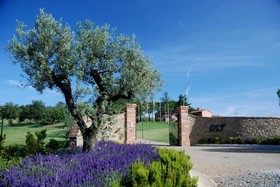 I Grandi Di Toscana