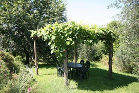 Podere Il Pino